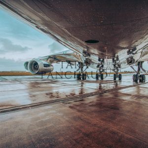 Prints by Tara Panchaud - Under Carriage