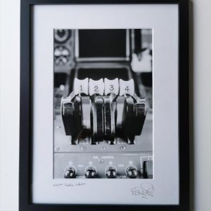 Prints by Tara Panchaud - The Fab Four