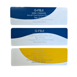Flybe Embraer 175 G-FBJI Engraved Skin